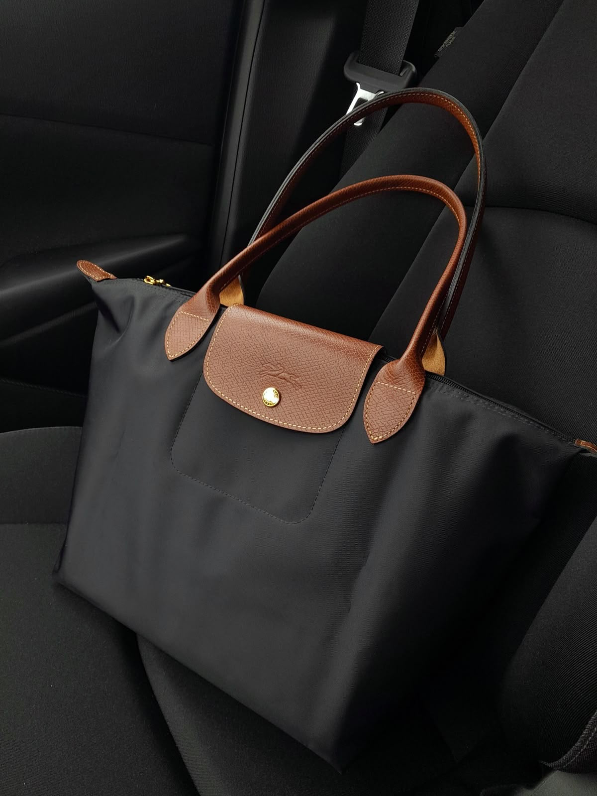 Large Longchamps